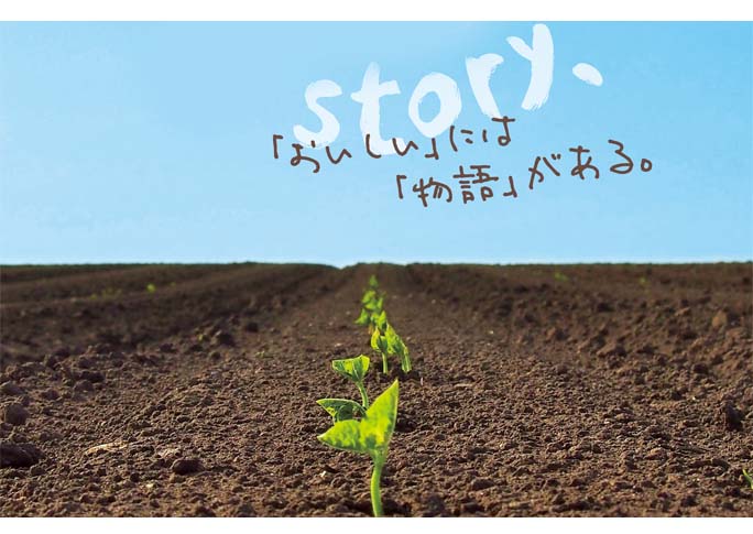 ぜんざい・餡子(つぶあん・こしあん・ゆであずき) 常呂町小豆/玉ねぎ/国産ゼリー 谷尾食糧工業 / あん製品